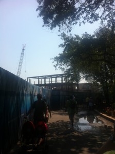 Antarctica - Empire of the Penguin