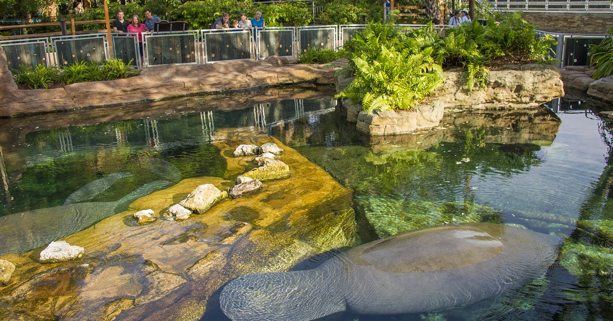 3427e3e861644a76a77c5d06ba12ec5a_20160325_manateerehabcenter_010