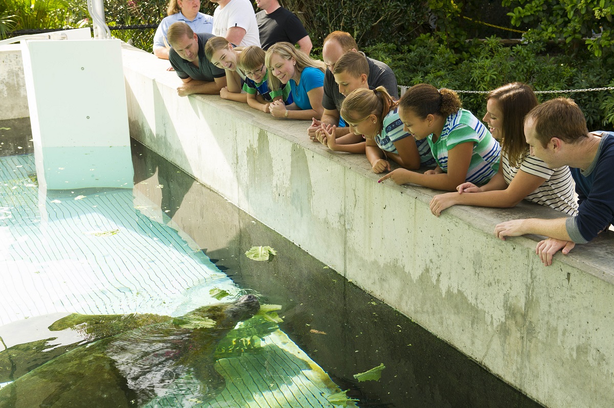 ef197f5df84a4e59bc9bce2a78ab4196_20160325_manateerehabcenter_035