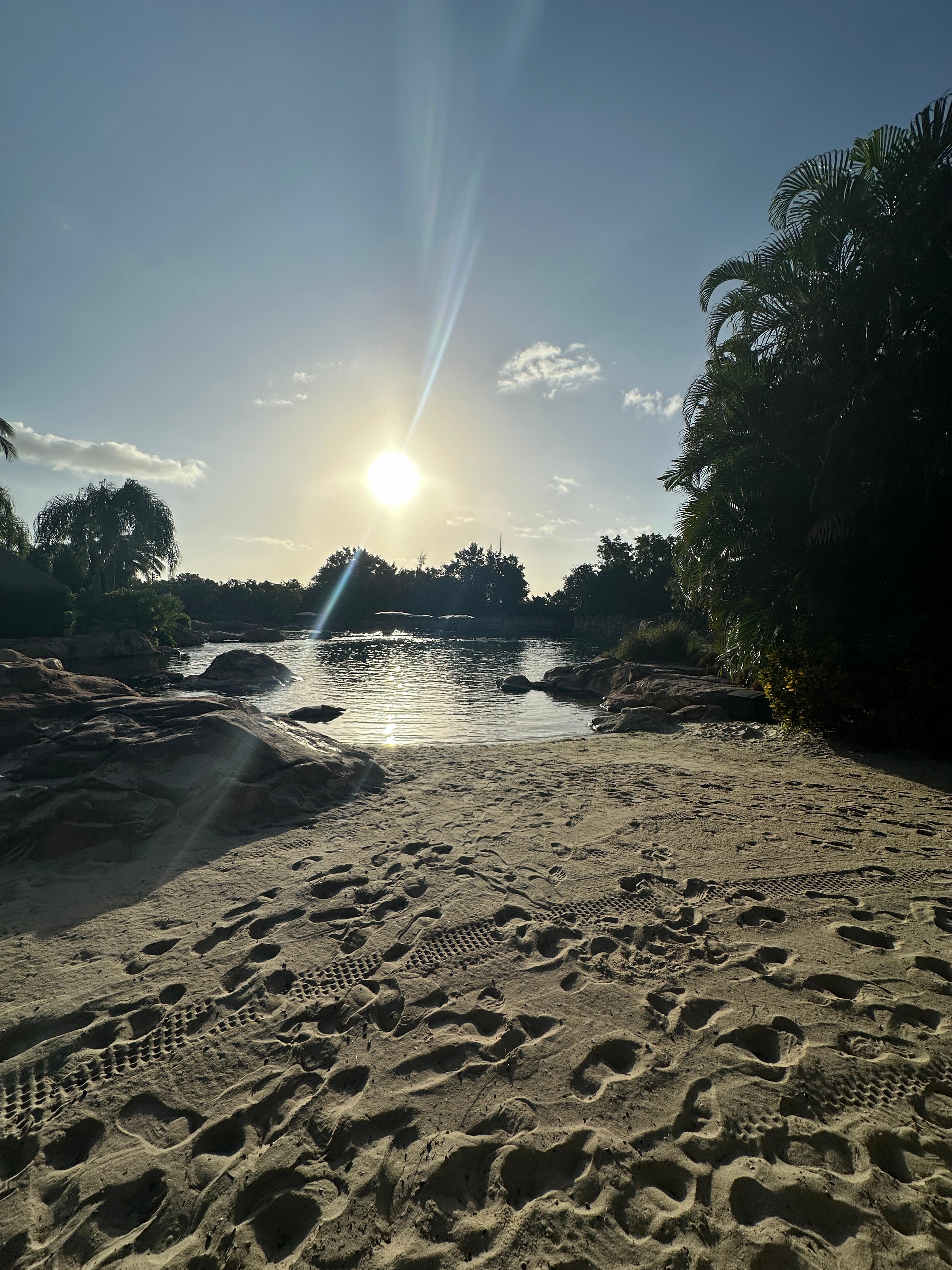 Discovery Cove Orlando: The Complete Guide – Everything You Need to Know Before You Visit
