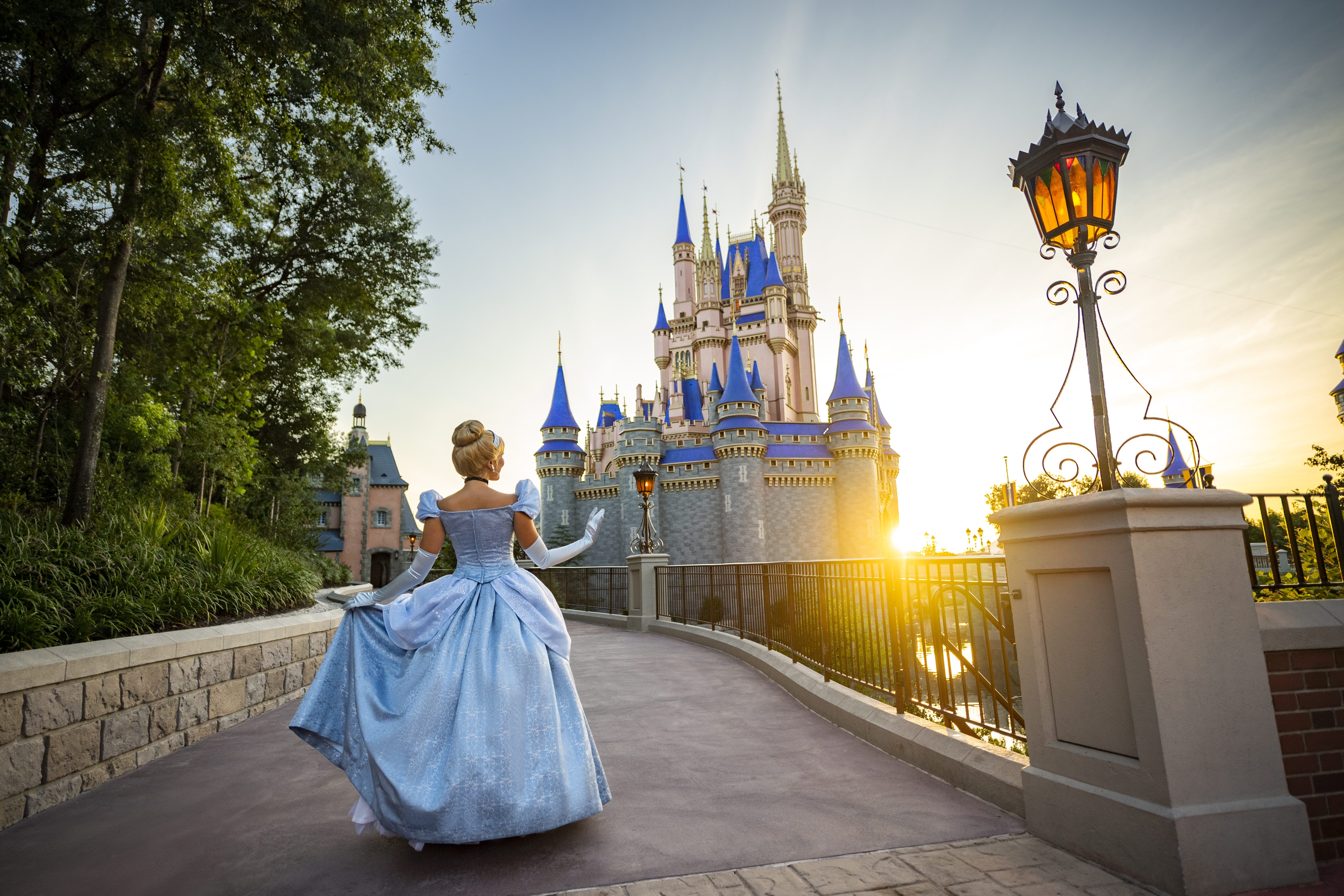 The Complete Guide to Disney