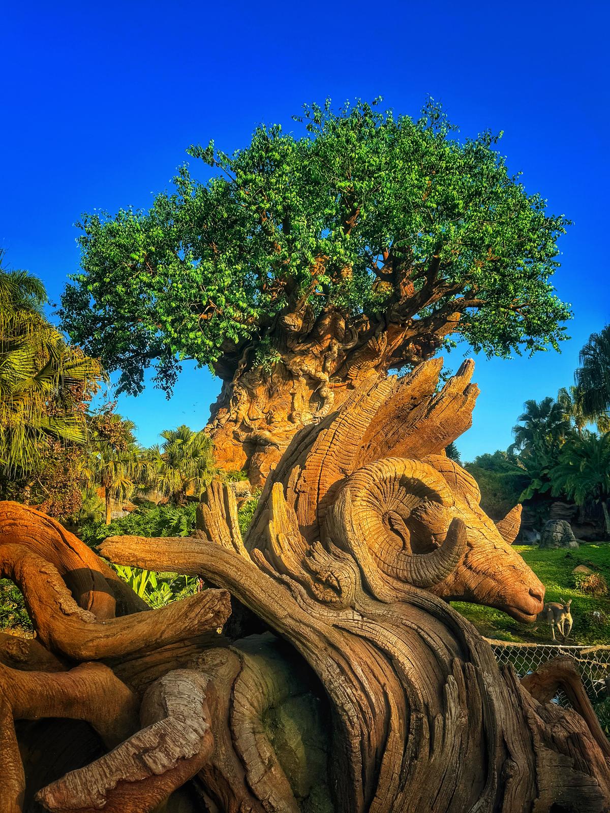 Disney’s Animal Kingdom Guide: Rides, Animals, Shows and What’s Coming in 2027